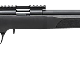 Springfield Armory Model 2020 Rimfire Target