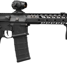 Sig Sauer M400 Sentry